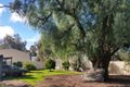 Property photo of 59 Cohen Street Rochester VIC 3561