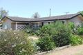 Property photo of 59 Murray Street Pittsworth QLD 4356