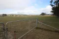 Property photo of 694 Sunnyside Loop Road Tenterfield NSW 2372
