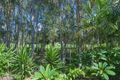 Property photo of 22 Hetherington Drive Twin Waters QLD 4564