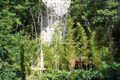 Property photo of 33 Edward Street Woollahra NSW 2025