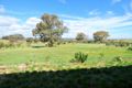 Property photo of 105 Back Demondrille Road Harden NSW 2587
