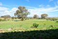 Property photo of 105 Back Demondrille Road Harden NSW 2587