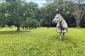 Property photo of 7 Gwen Court Landsborough QLD 4550