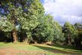 Property photo of 21 Auhl Road Emerald VIC 3782