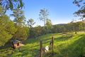 Property photo of 19 Hermitage Road Kurrajong Hills NSW 2758