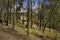Property photo of 4677 Great North Road Fernances Crossing NSW 2325
