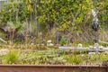 Property photo of 35 Shackleton Terrace Byford WA 6122