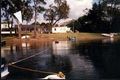 Property photo of 1 Centour Street Balcolyn NSW 2264