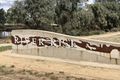 Property photo of 58 Oxbow Avenue Shepparton VIC 3630