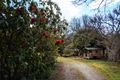 Property photo of 57 Emerald-Monbulk Road Emerald VIC 3782