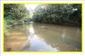 Property photo of 5 Bilwon Road Biboohra QLD 4880