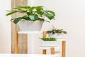 Property photo of 11/152-154 Russell Avenue Dolls Point NSW 2219