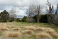 Property photo of 206 Logan Street Tenterfield NSW 2372