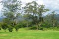 Property photo of 425 Mount Nimmel Road Austinville QLD 4213