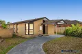 Property photo of 183 Milleara Road Keilor East VIC 3033