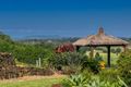 Property photo of 295 Tyagarah Road Myocum NSW 2481