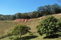Property photo of 5671 Tweed Valley Way Crabbes Creek NSW 2483