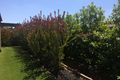 Property photo of 11 Sully Court Diggers Rest VIC 3427