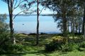 Property photo of 224 Loralyn Avenue Sanctuary Point NSW 2540