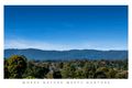 Property photo of 1 Bulkara Avenue Forest Hill VIC 3131