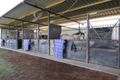 Property photo of 12731 Carnarvon Highway St George QLD 4487