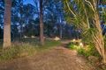 Property photo of 17 Scout Road Kurwongbah QLD 4503