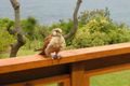 Property photo of 175 Del Monte Place Copacabana NSW 2251