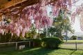 Property photo of 3 Avernus Street Cobargo NSW 2550