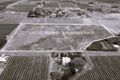 Property photo of LOT 105 Warrego Street Renmark North SA 5341