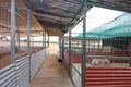 Property photo of 78 Hayman Road Two Wells SA 5501