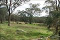 Property photo of 4150 Olympic Highway Young NSW 2594