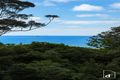 Property photo of 13 Cokeworks Road Coledale NSW 2515