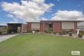 Property photo of 8 Vista Court Pialba QLD 4655