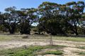 Property photo of 1775 Bejoording Road Wongamine WA 6401