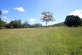 Property photo of 160 Toms Creek Road Ellenborough NSW 2446