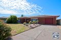 Property photo of 17 Chamberlain Road Willaston SA 5118