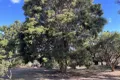 Property photo of 58 Spring Creek Road Killarney QLD 4373