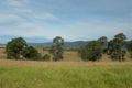 Property photo of 203 Werrinook Road Bemboka NSW 2550