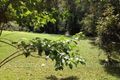 Property photo of 9 Kuranda Crescent Kuranda QLD 4881