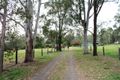 Property photo of 41 Ironbark Road Tamborine QLD 4270