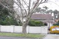 Property photo of 65 Were Street Brighton VIC 3186