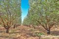 Property photo of 108 Tulloch Road Red Cliffs VIC 3496