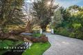 Property photo of 46 Maning Avenue Sandy Bay TAS 7005