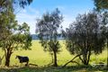Property photo of 53 Kirip Road Glencoe SA 5291