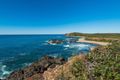 Property photo of 1 Pebbly Crescent Sandon NSW 2463