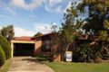 Property photo of 19 Mesquite Street Sunnybank Hills QLD 4109