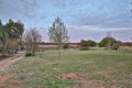 Property photo of 219 Woorlong Avenue Red Cliffs VIC 3496