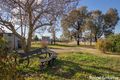 Property photo of 489 Conrod Straight Mount Panorama NSW 2795