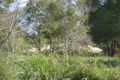 Property photo of 46 Tom Smith Drive South Nanango QLD 4615